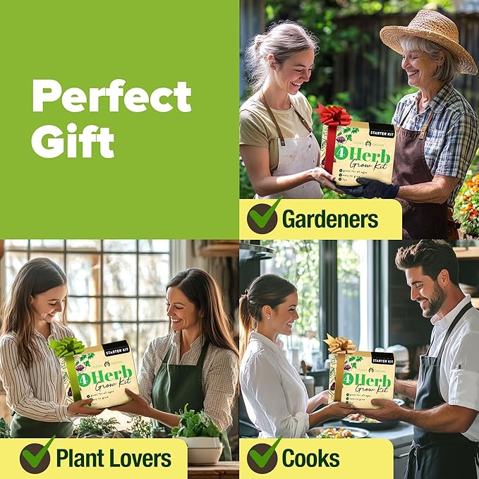 HOME GROWN Indoor Herb Gardening Kit w/Glazed Ceramic Pot - Unique Gift for Women, Mom, Gardeners, Friend, Her, Mother - Easy-to-Grow Kitchen Window Starter Set