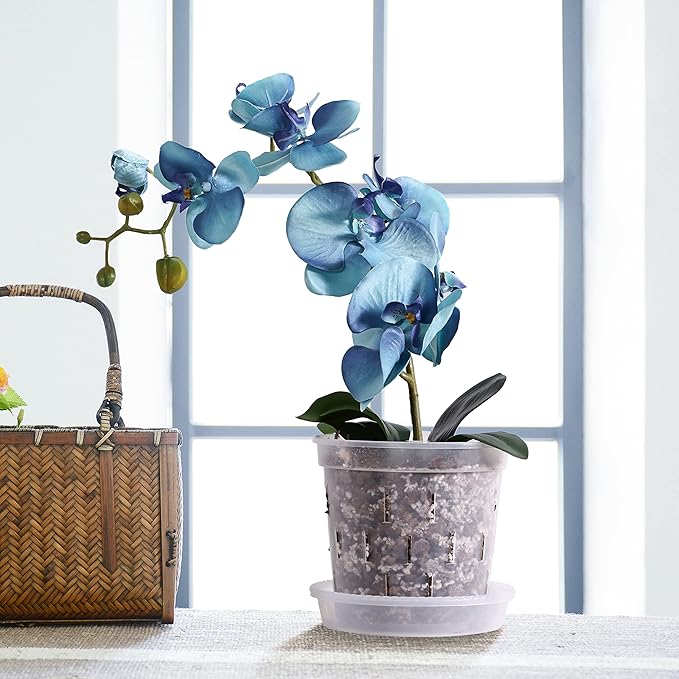 TRUEDAYS 4 Pack Orchid Pot with Saucers, 6 Inch Clear Orchid Pots with Holes, Plastic Planter with Trays, Breathable Slotted Orchids Planters for Indoor Outdoor Plants