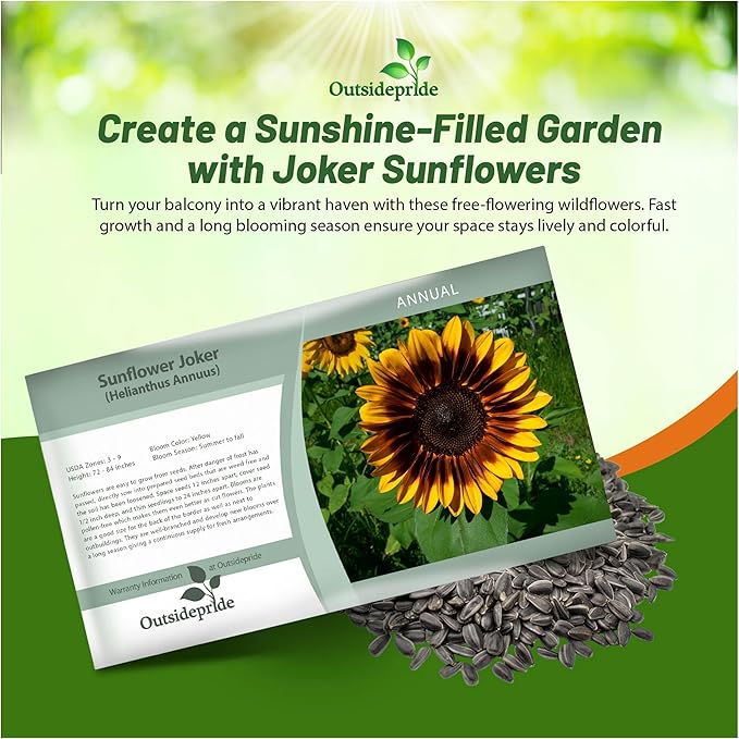Outsidepride 50 Seeds Helianthus Annuus Joker Sunflower Seeds for Planting
