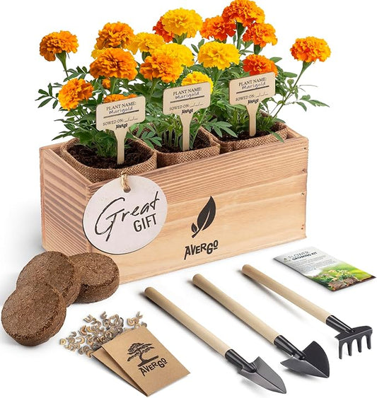 Marigold Seeds Flower Growing Kit – Complete Indoor & Outdoor Kit with Marigold Seeds, Planter, Soil, Tools, Instructions – Ideal for Planting Marigold Flowers at Home or Garden