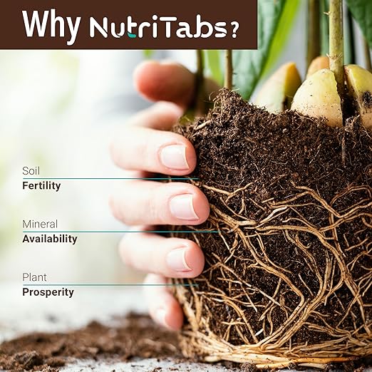 Plant Food for Houseplants - 3 Packs of “BioBoosting” Mineral Tablets for Soil Enrichment; Nitrogen Fertilizer for Indoor/Outdoor Plants; Garden, Tree and House Plant Fertilizer