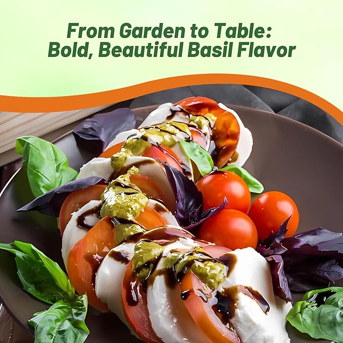 Outsidepride Dark Opal Basil Seeds – 2000 Pieces Annual Purple Basil Herb Seeds, Non-GMO, Ideal for Indoor & Outdoor Gardens, Aromatic Herb Borders for Fresh Flavor & Fragrant Foliage (AAS Winner)