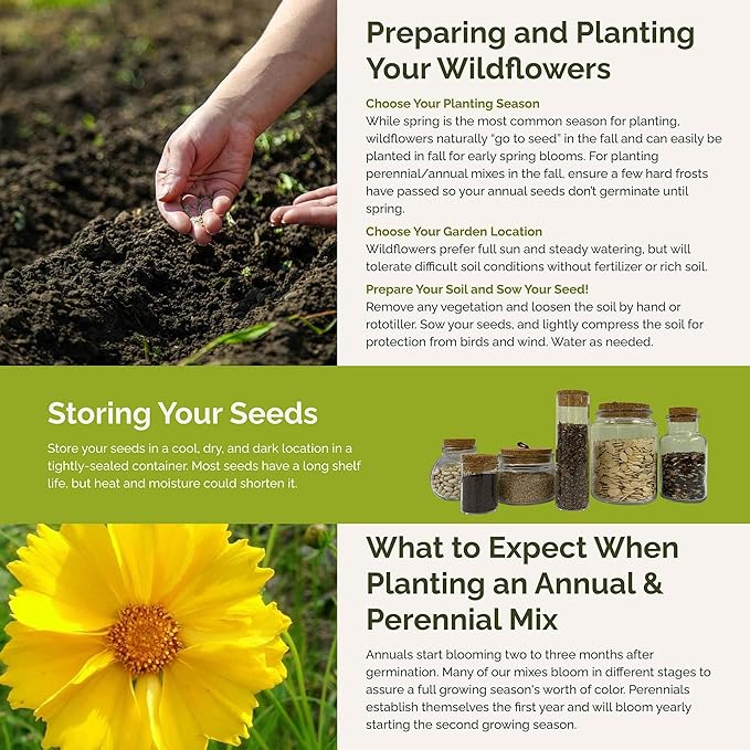 Eden Brothers Wisconsin Wildflower Mixed Seeds for Planting, 1 lb, 480,000+ Seeds with Sunflower, Aster | Attracts Pollinators, Plant in Spring or Fall, Zones