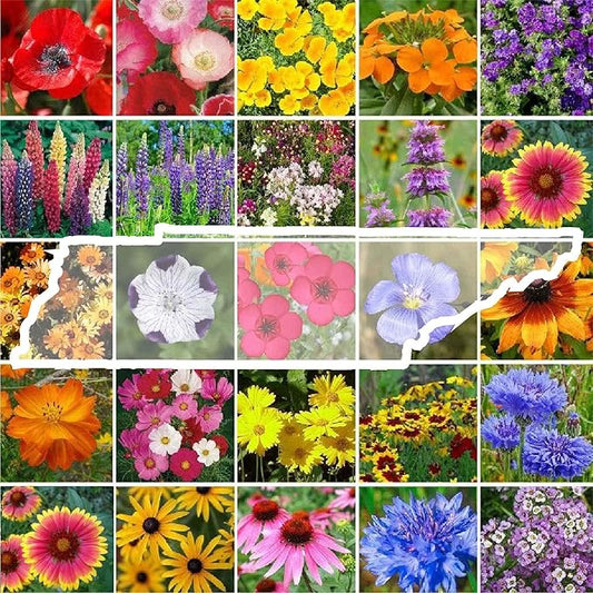 Eden Brothers Tennessee Wildflower Mixed Seeds for Planting, 1 oz, 30,000+ Seeds with Cosmos, Black Eyed Susan | Attracts Pollinators, Plant in Spring or Fall, Zones