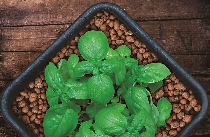 Hydrofarm GROWT GMC25L 25 Liter Bag, 4mm-16mm Clay Pebbles, 25 Liter Bag, Brown