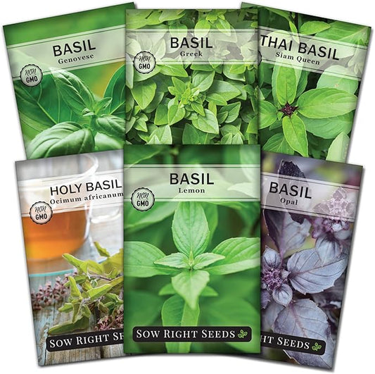 Sow Right Seeds - Large Basil Seed Collection for Planting - Genovese, Greek, Opal, Thai, and Lemon Basil - Non-GMO Heirloom Packets to Grow Indoors or Outdoor - Kitchen Herb Gardening f1
