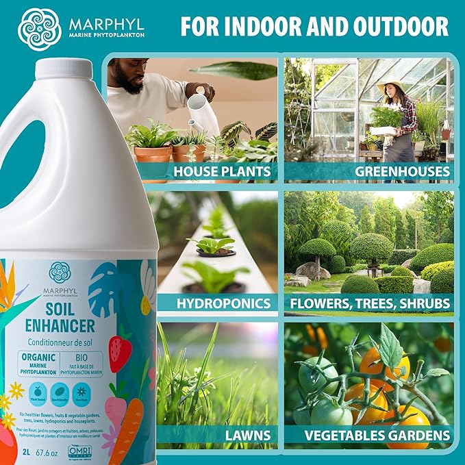 MARPHYL Plant Fertilizer Houseplants and Garden - Marine Phytoplankton Soil Improver and Hydroponic Fertilizer for Grasses, Bamboo, Succulents, & Vegetables - Organic Plant Fertilizer Liquid