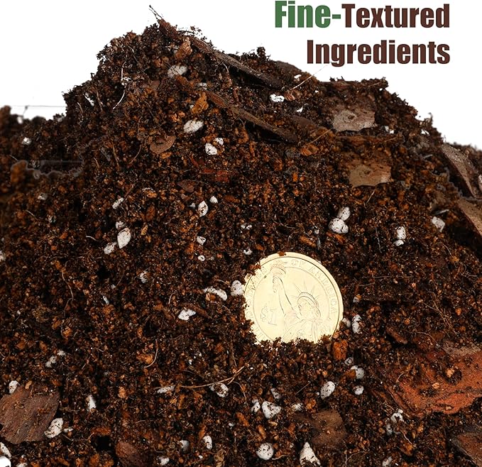 Organic Fiddle Leaf Fig Potting Mix 1qt, Indoor Plants Potting Mix for All Potted Ficus Lyrata Plant, Grow Healthy houseplants Indoors