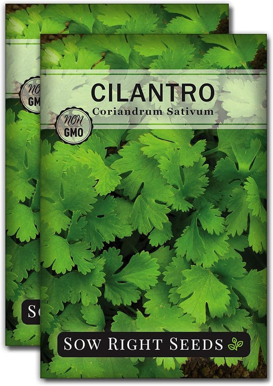 Sow Right Seeds - Cilantro Seeds for Planting - Non-GMO Heirloom Packet with Instructions to Grow a Kitchen Herb Garden - Great Addition to Your Cooking - Make Coriander Seasoning - Zesty Herb (2)