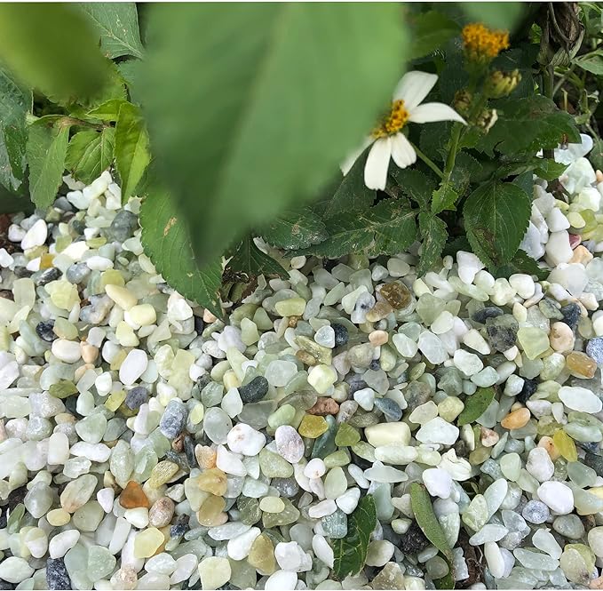 18lb Jade Bean Sand Stone-Succulents and Cactus Bonsai DIY Projects Rocks,Decorative Gravel for Plants and Vases Fillers,Fairy Gardening,Natural Stone Top Dressing for Potted Plants (5mm-8mm)