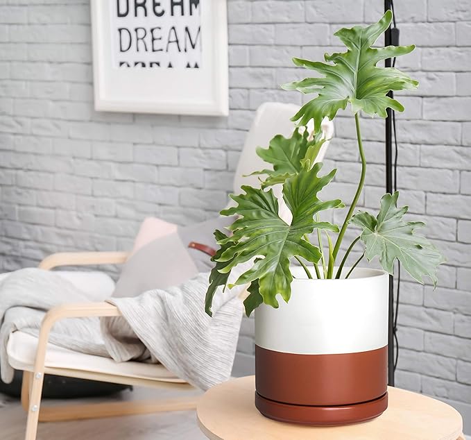 D'vine Dev Set of 2 Plants Pot, 8 Inch Ceramic Planter Pot for Plants with Drainage Hole and Saucer, White/Pottery Red Terracotta, 94-V-D-5