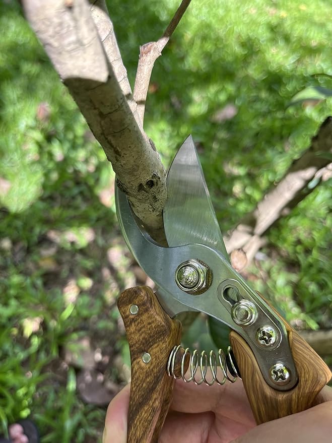 Branch Trimmer, Japanese Bonsai Trimming Scissors, Garden Clippers Handheld, Ergonomic Gardening Tools, Floral Shears Gardening Set, Garden Pruners Farming Tools (Wood Silver)