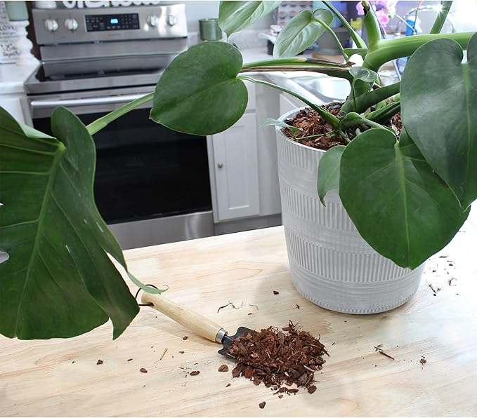 100% Natural Pine Bark Mulch Nuggets (30 Quarts), Small Mulch Chips for Indoor/Outdoor Container Gardening, Ideal for Soil Supplement, Houseplant Mulch, and Terrariums