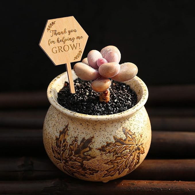 Thank You for Helping Me Grow Succulent Tags Teacher Appreciation Gifts, PARBEE 20PCS Hexagon Plant Stakes Labels Gift for Mother's Day Christmas Thanksgiving Baby Shower