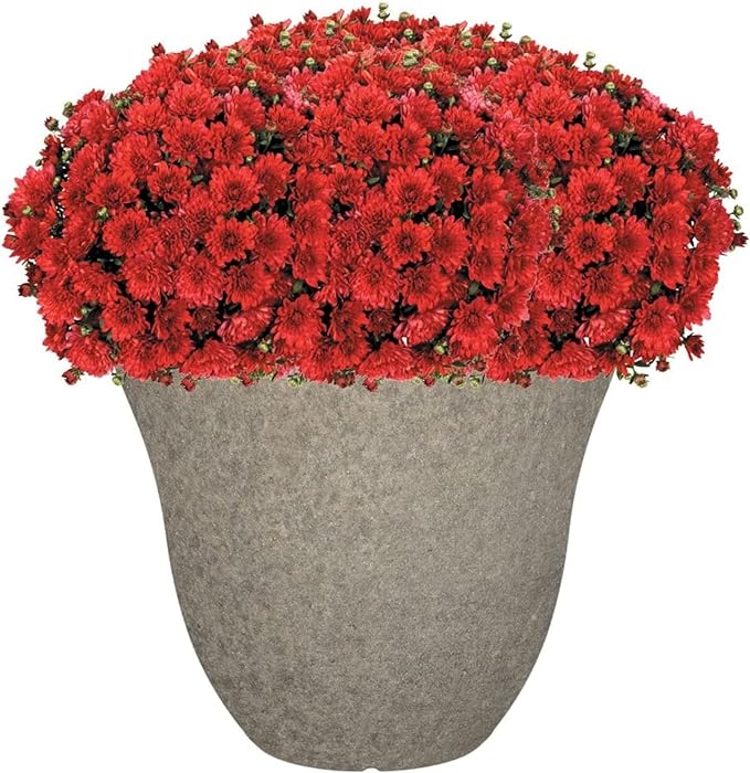 Classic Home and Garden Honeysuckle Resin Flower Pot Planter, Stone Grey, 15"