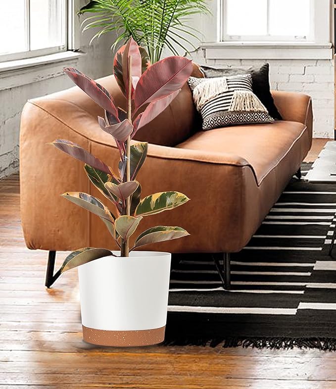 kubvici Plant Pots for Indoor Plants, 2 Pack 10 Inch Plant Pot Plastic Flower Pots Planters with Drainage Saucer for Indoor Outdoor Garden Home (10" White)