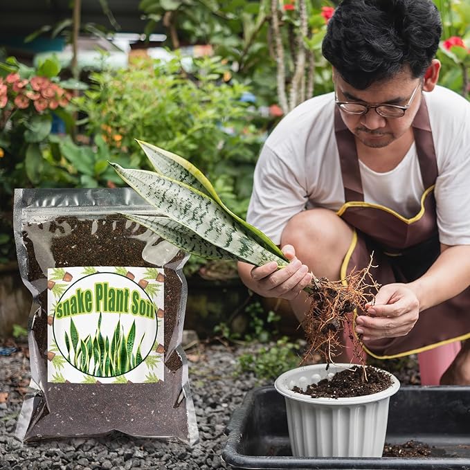 Premium Snake Plant Soil Mix 10qt, Indoor Plants Potting Mix for All Potted Snake Plants, Promote Healthy Growth and Easy Care