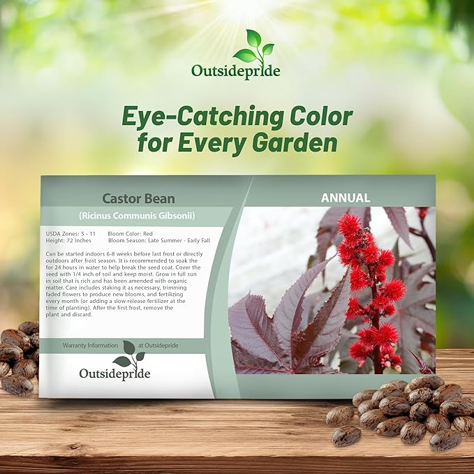 Outsidepride 100 Seeds Annual Ricinus Communis Castor Bean Gibsonii Flower Seeds for Planting