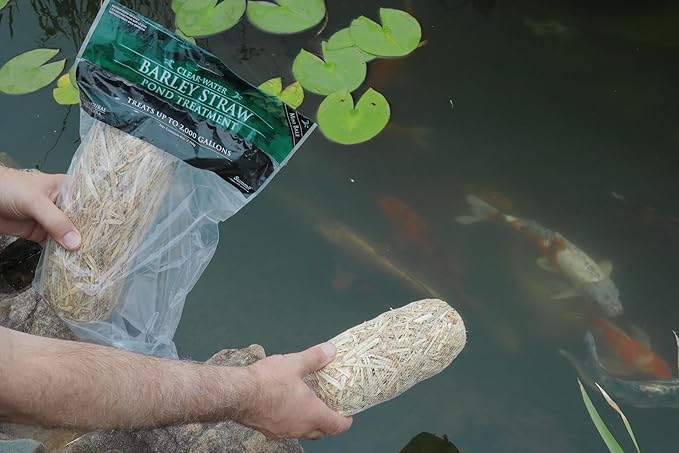 Summit...responsible solutions Summit 125 Clear-Water Barley Straw Bales, 2-Pack Treats up to 1000-Gallon