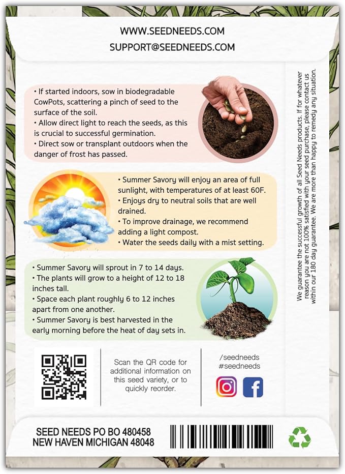 Seed Needs Summer Savory Seeds for Planting - Non-GMO, Heirloom & Untreated Annual Herbs - Organically Grow a Culinary Kitchen Garden Indoors or Outdoors (1 Pack)
