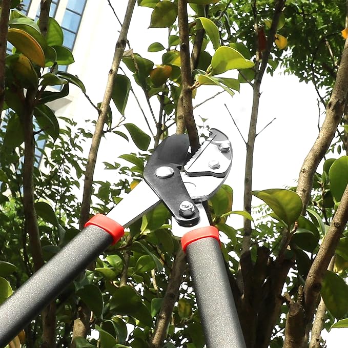 GARTOL Anvil Lopper with Compound Action Branch Cutter, 29.5 Inch Tree Trimmer with 2 Inch Clean Cut Capacity, Cut Through Thick Branches Easy