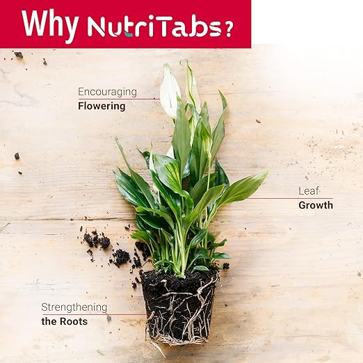 Plant Food for Houseplants - 3 Packs Pink “Start Boosting” Mineral Tablets; Nitrogen Rich Fertilizer; Indoor/Outdoor Plant Food for High Impact Growth; Garden, Tree and House Plant Fertilizer