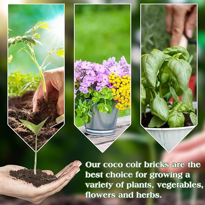 Halatool 3PCS Organic Coconut Coir Bricks Compressed Coco Coir Brick Nutrient Garden Soil with Low EC & pH Balance Premium Starting Soil Coconut Fiber Substrate for Plants Flowers Reptiles