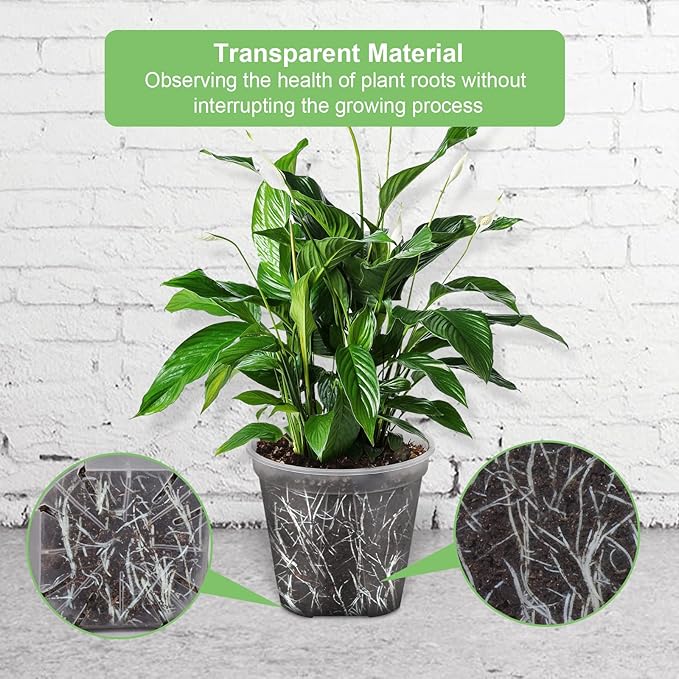 GREENPARA 8-inch Transparent Plastic Garden Pots Planter with Saucer Plant Pot Nursery Pots Drainage Hole for House Plants, Herb, Flowers, and Cactus with Plant Labels, 3-Set