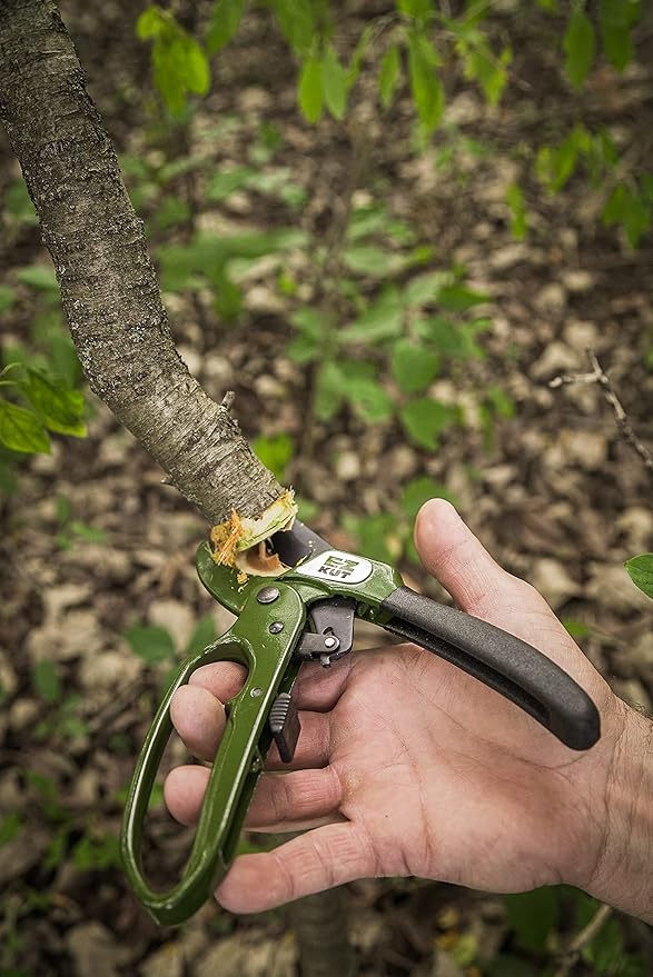 EZ Kut Heavy Duty Pruning Shears Green - with Ratcheting Action Great Garden Hand Tool Clippers Gardening pruners arthritis tools Ratcheting Anvil Hand Pruner Pruning Shears Heavy Duty Since 1988