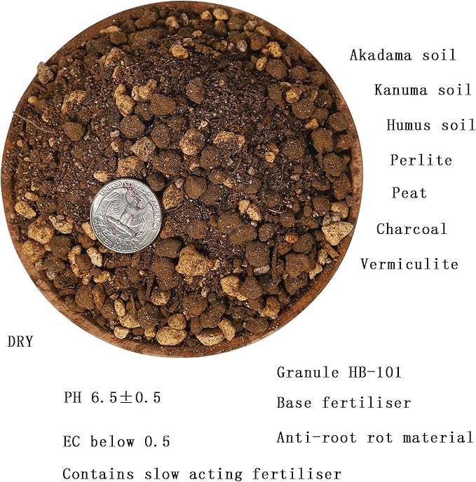 Foliage Plants Potting Soil Mix (6 L) for Indoor Money Tree, Pothos, Monstera, Sansevieria and More（Made in Japan）