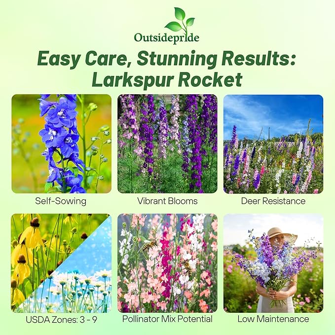 Outsidepride 1 lb. Delphinium Rocket Larkspur Wild Flower Seed Mix for Planting