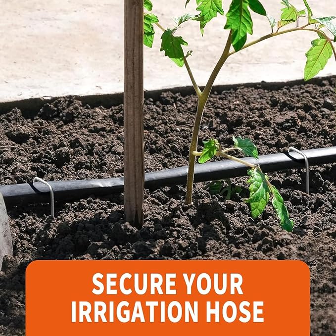 6 Inch Galvanized Landscape Staples- 500 Metal Garden Stakes for Gardening -11 Gauge Anti-Rust Heavy-Duty Ground Sod Pins Yard Stakes for Weed Barrier Fabric Irrigation Tubing Hose