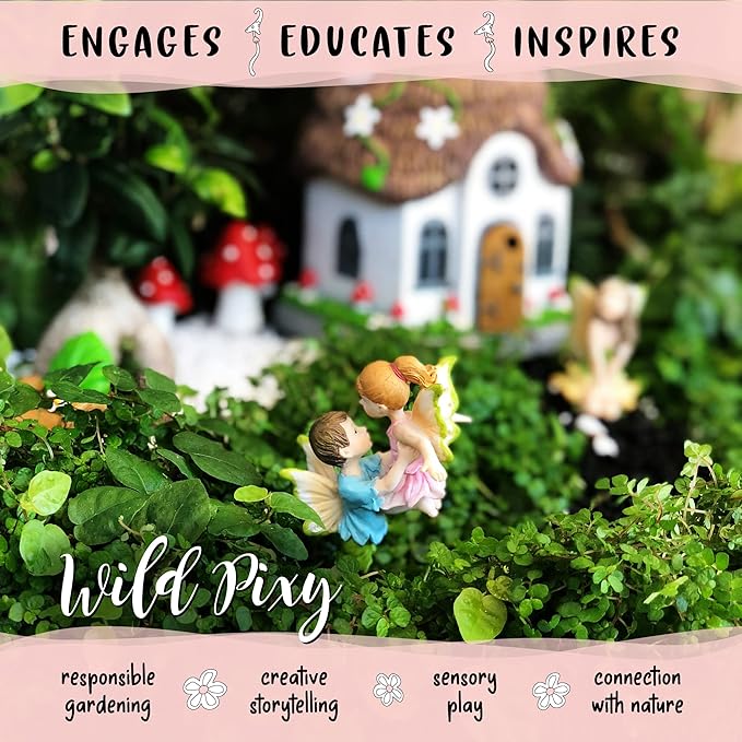 WILD PIXY Miniature Fairy Figurine - Fairy Garden Fairies with an Inspiration Theme, Includes A Fairy Poem and Gift Box, Gorgeous Miniature Garden Decoration for Indoor or Outdoor Fairy Gardens