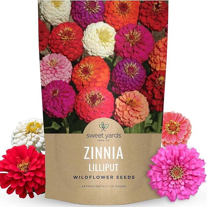 Zinnia Lilliput Mix - Bulk 1/4 Pound Pouch - 15,000 Flower Seeds for Planting - Zinnia elegans