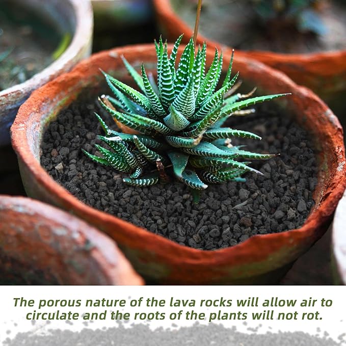 18LB Black Lava Rocks for Plants, Volcanic Rock Horticultural Lava Rock Soil for Landscaping Plants Drainage, Small Lava Rock Gravel for Succulents, Bonsai, Vase Fillers, Top Dressing