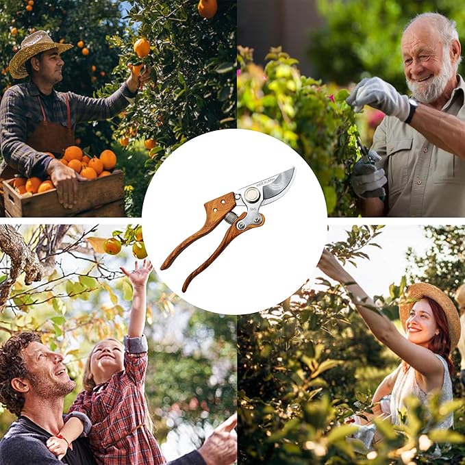 Bypass Pruning Shears [Made in Japan] 8 inches Professional Garden Shears, Japanese Secateurs Hand Pruner Hedge Clippers, Aluminum Alloy Handle