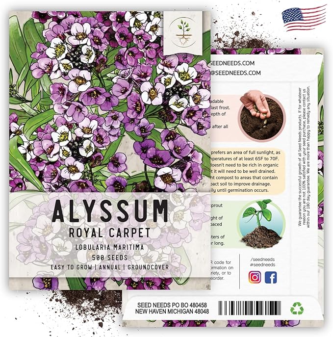 Seed Needs Heirloom Alyssum Flower Seed Packet Collection Variety Pack (Includes 4 Packets) Basket of Gold, Royal Carpet, Dwarf Pink & Carpet of Snow - Perfect for Rock Gardens
