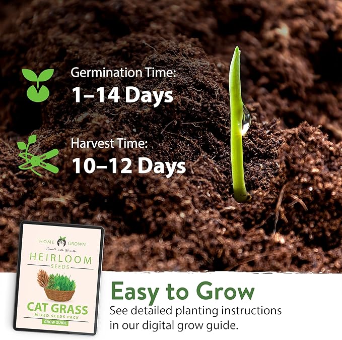 HOME GROWN 2100+ Cat Grass Seeds - Catnip Seeds, Lemongrass, Licorice, Thyme Seeds, Valerian - Grow Cat Grass for Indoor Cats - Cat Grass Seeds Bulk - Refill Cat Growing Grass Kit