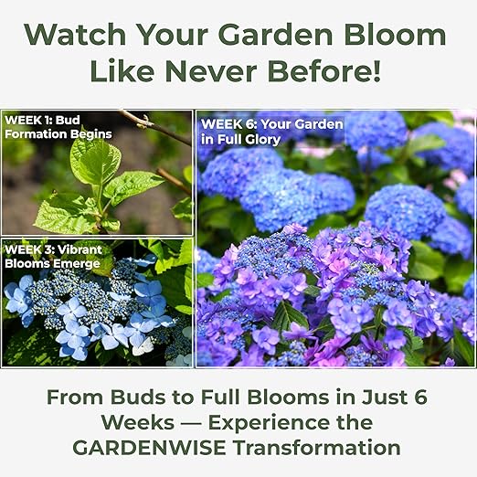 Slow Release Hydrangea Fertilizer with Iron & Sulfur – Indoor & Outdoor Soil Acidifier for Miracle Growth (5 qt)