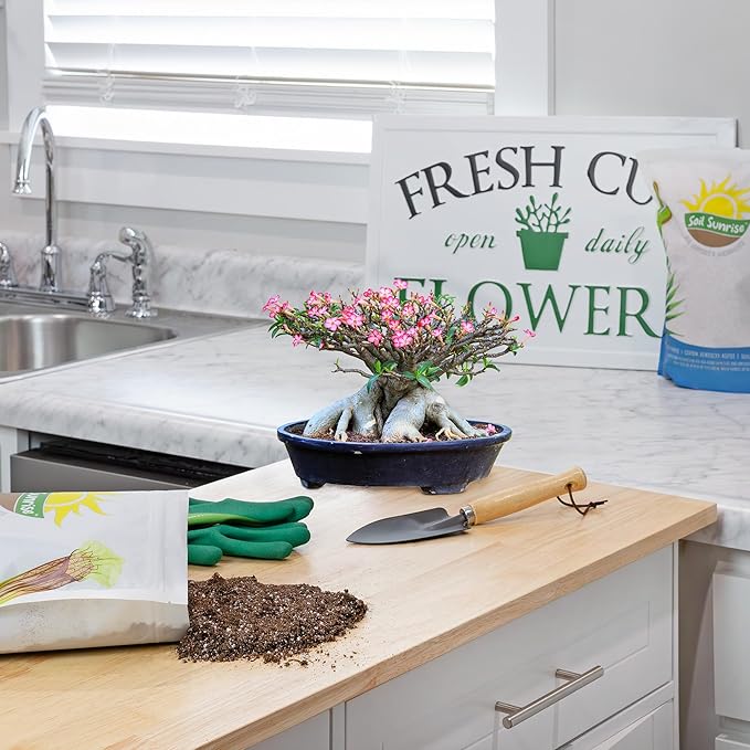 Desert Rose Potting Soil Mix (8 Quarts), Hand Blended Small Batch Soil Blend for Desert Rose Plant