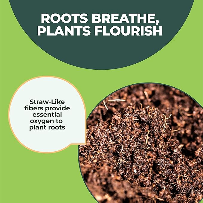 Premium Window Garden Potting Soil (Fiber Soil 10x - 1 QT Bags) for Indoor Plants, Home Garden