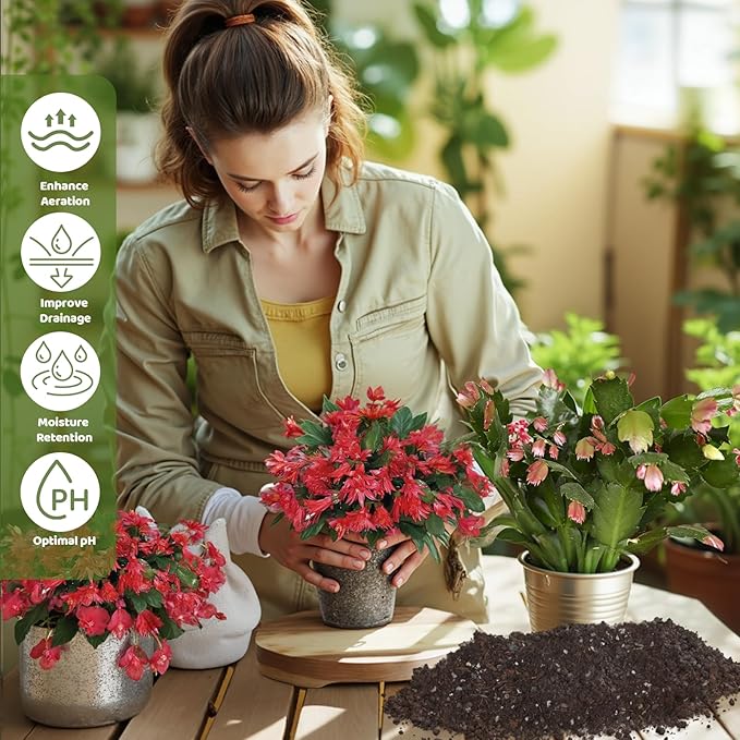 Christmas Cactus Potting Soil Mix 2qt, Ideal for Succulents, Christmas Cacti, and Other Indoor Potted Plantings