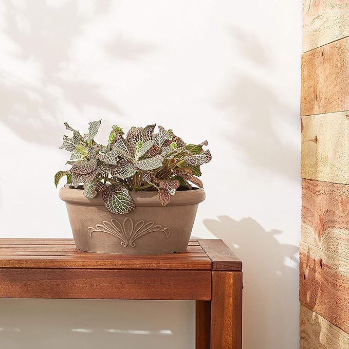 Arcadia Garden Products PSW Pot TA20TP Collection Shallow Bulb Pan Planter Dish Low Bowl for Succulents, Bonsai, Fairy Gardens, Herbs, 8-inch, Taupe