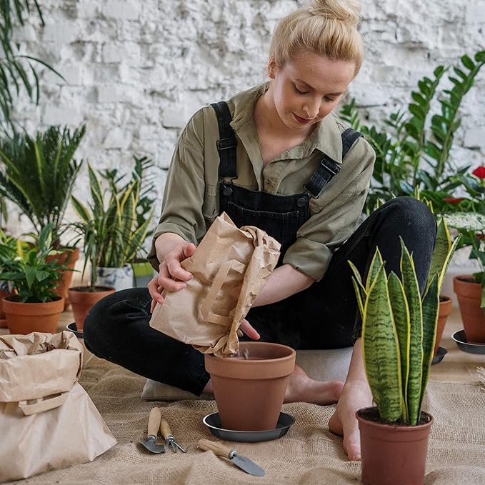 6 Pack Plant Saucer 4 6 8 10 12 14 16 18 20 22 Inch Plastic Plant Tray, Sturdy and Durable Flower Pot Container Accessories Plant Pot Saucers for Indoor and Outdoor (10 Inch, Black)