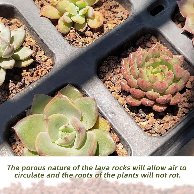 7LB Red Lava Rocks for Plants, Volcanic Rock Horticultural Lava Rock Soil for Landscaping Plants Drainage, Small Lava Rock Gravel for Succulents, Bonsai, Vase Fillers, Terrarium Plants, Top Dressing