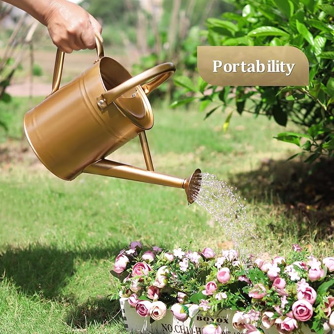 Watering Can for Outdoor Plants and Indoor Plants,1 Gallon Metal Watering Can for Garden Flower,Galvanized Steel Metal Water Can Watering Pot with Sprinkler Head