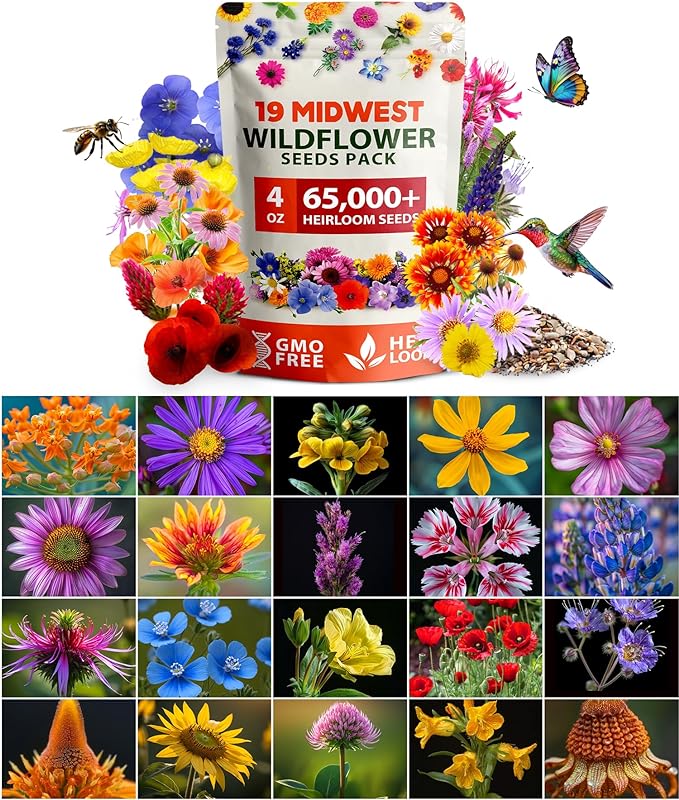 HOME GROWN Midwest Wildflower Seeds Mix 4oz | 65,000 Non-GMO, USA Sourced, High Germination Rate | Heirloom Pollinator Flowers Seed Mix | Wild Flower Seeds Bulk | Covers 500 sq. ft.