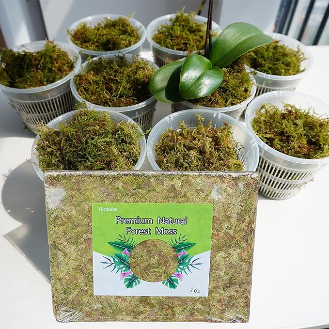 7 oz Natural Orchid Moss for Potted Plants, Nice Soilless Potting Soil for Seedling and Cutting, Good Idea for Reptile Terrarium, Crafts, Garden Decoration