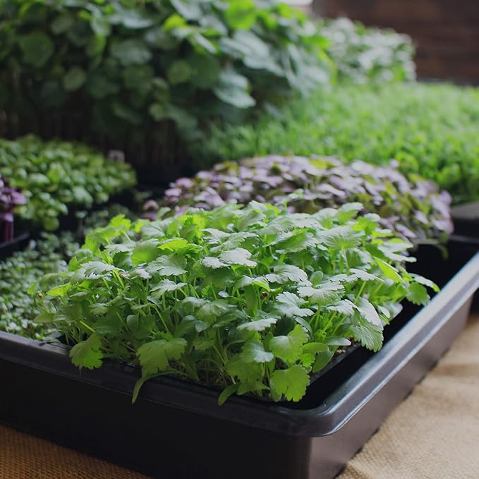 Minute Soil - Compressed Coco Coir Brick, Fiber Grow Medium, Potting Soil Indoor Plants and Outdoor Plants, 1 Block = 15 Gal Planting Soil, Peat Free OMRI Organic, Mountain Valley Seed Company