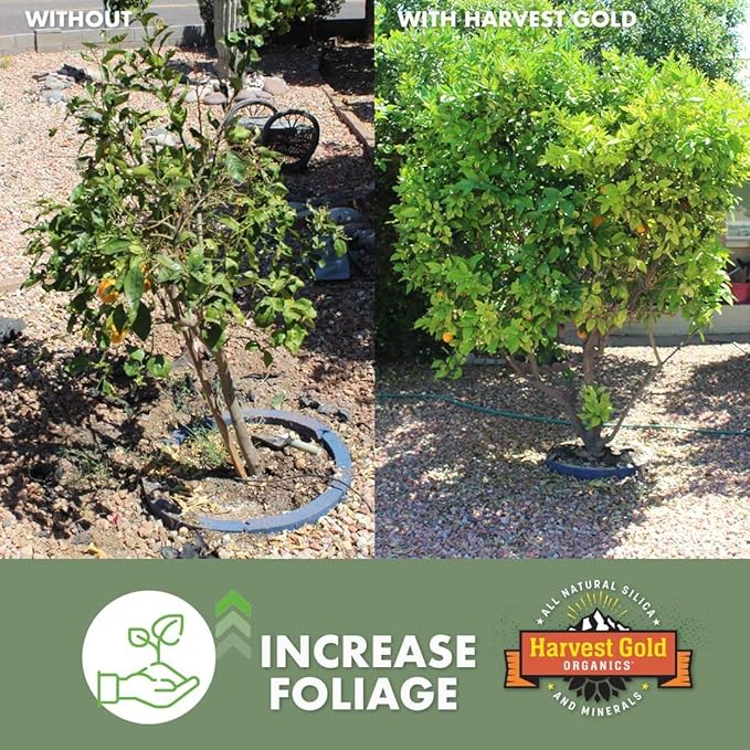 Premium Soil Conditioner All Purpose for Houseplants, Flowers, All Vegetables and Trees, Provides Natural Silica and Micronutrients (5 Gallon Bucket)